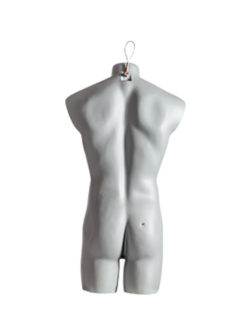 Impulse Torso
