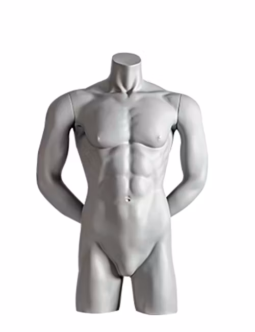 Impulse Torso
