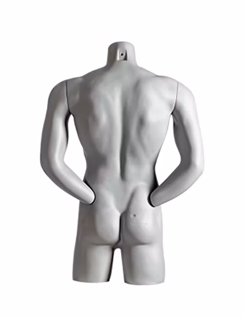 Impulse Torso