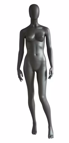 Proportions D 06V
