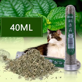 Kattemynte 40 ml - Gjør leker spennende!