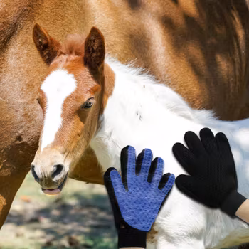 Børstehansken til katt og hund og hest