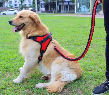 Hundeseler