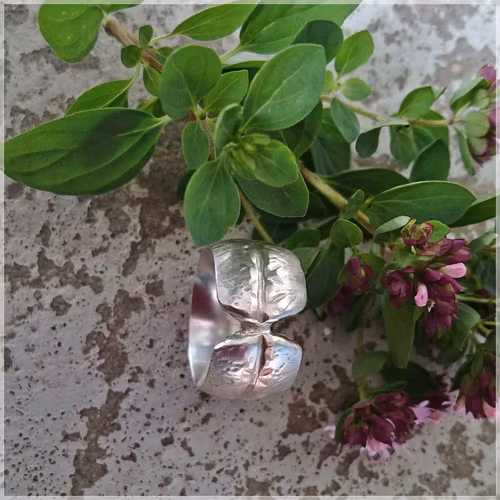 KRYDDRIK silverring