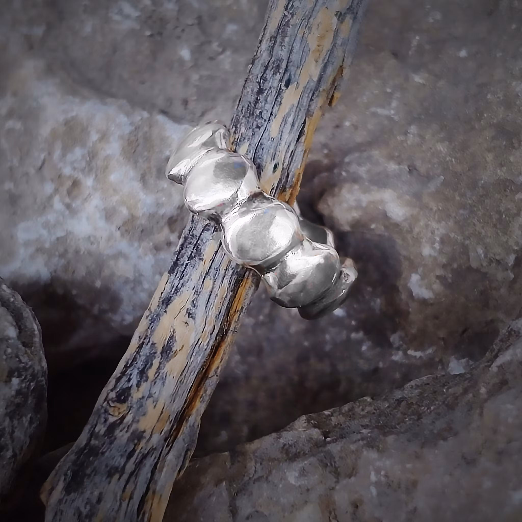Vanadis silverring. Vacker handgjord ring med blanka sköldar runtom. Unika silverringar från Alv Design