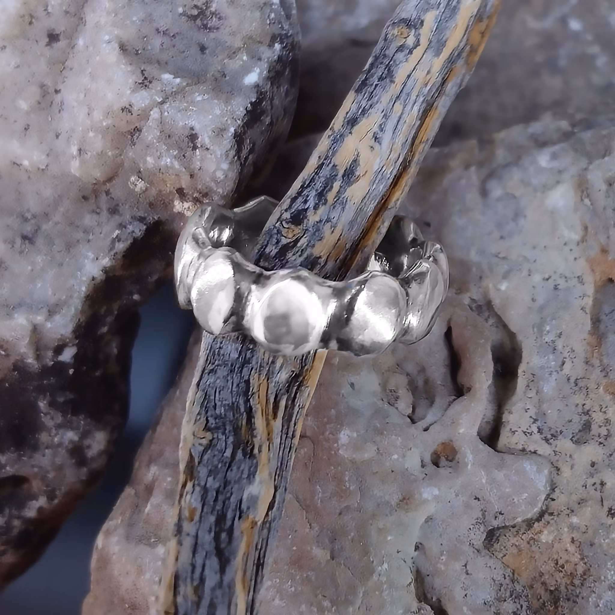 Vanadis unik handgjord silverring. Vacker ring med blanka sköldar runtom. Unika silverringar från Alv Design