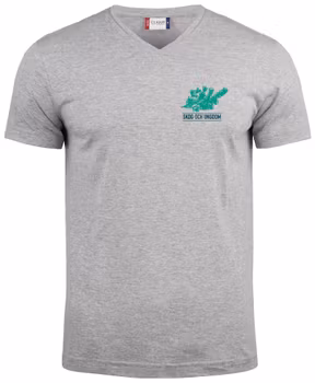 V-ringad T-shirt