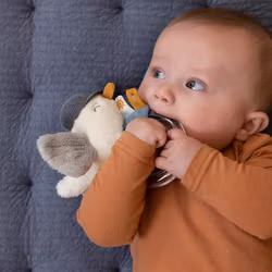 Little Dutch - Sailors Bay - Ringskallra