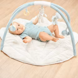 Nattou - Babygym Arch Romeo, Jules and Sally