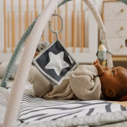 Nuby Animal adventure babygym