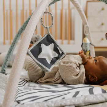Nuby Animal adventure babygym