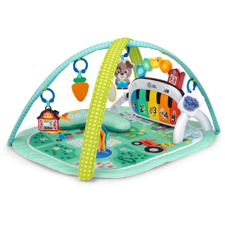 Baby Einstein 4-in-1 Kickin’ Tunes Musical Meadow Musik & Language Discovery BabyGym