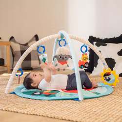 Baby Einstein Happy Harvest Babygym