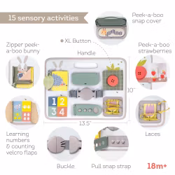 Taf Toys Educational Activity Buckles Board - Aktivitetsbräda 18m+