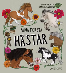 Mina Första Hästar