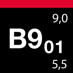 Polermedel B9.01 Heavy Quick Cut, 1 Liter