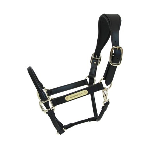 Kentucky Anatomic konstlädergrimma