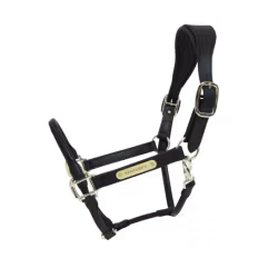 Kentucky Anatomic konstlädergrimma