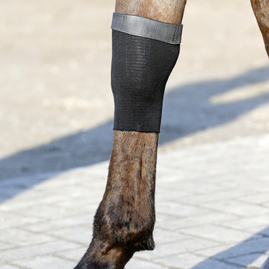 Kentucky Tendon Grip Gel