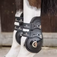 Kentucky Moonboots Max elastic