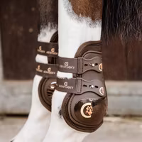 Kentucky Moonboots Max elastic