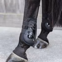 Kentucky Moonboots air X
