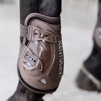Kentucky Moonboots air X