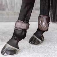 Kentucky Young Horse fetlock boots color