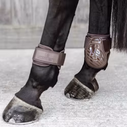 Kentucky Young Horse fetlock boots color