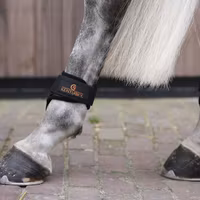 Kentucky Young Horse Fetlock Boots