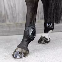 Kentucky Moonboots air