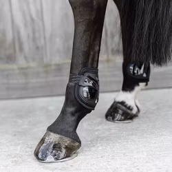 Kentucky Moonboots air