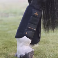 Kentucky Eventing Boots Air Tech Hind