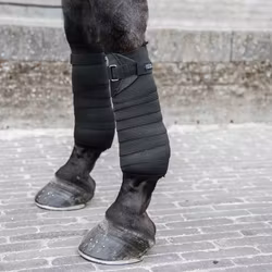 Kentucky  Elastic Bandage