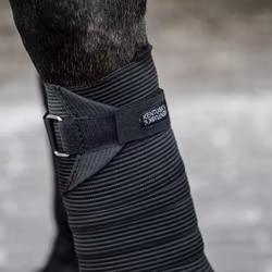 Kentucky  Elastic Bandage