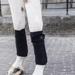 Kentucky Polar fleecelindor Velvet Pearls