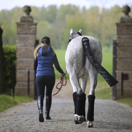 Kentucky Stable Bandage Pads