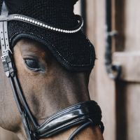 Kentucky Wellington Glitter Band