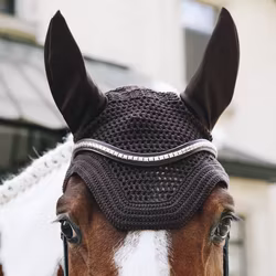Kentucky Fly Veil Wellinton