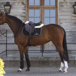 Kentucky Schabrak logga