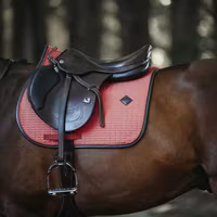 Kentucky Schabrak Color Edition Leather