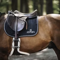 Kentucky Schabrak Leather Fishbone