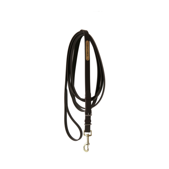 Kentucky Stallion Lead