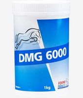 Equine DMG 6000