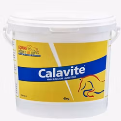 Equine Calavite