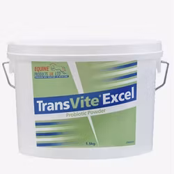 Equine Transvite Excel