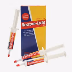 Equine Restore-Lyte Gel