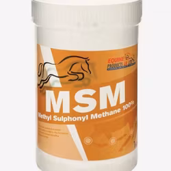 Equine - MSM
