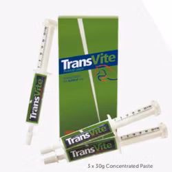 Equine Transvite - Pasta