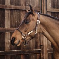Kentucky Leather Rope Halter